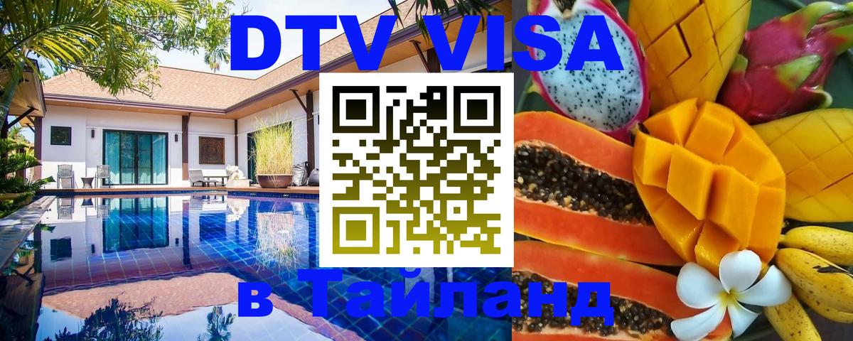 Оформление DTV визы под ключ: стоимость и тарифы, только загранпаспорт - 